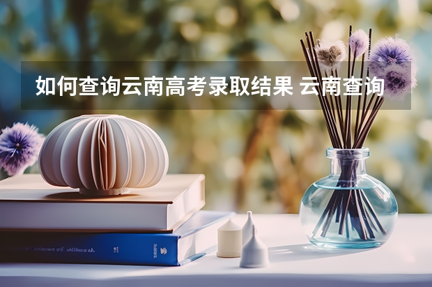 如何查询云南高考录取结果 云南查询高考录取状态在哪里查询