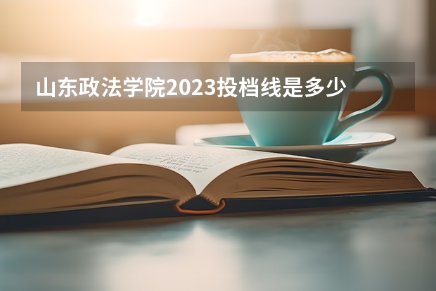 山东政法学院2023投档线是多少