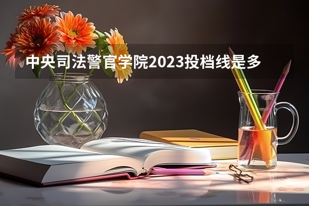 中央司法警官学院2023投档线是多少