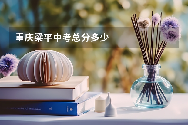 重庆梁平中考总分多少
