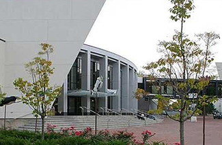 明尼苏达大学双城分校logo图片