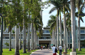 迈阿密大学logo图片
